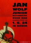 Jan Wolf junior